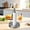 As shown_Free Size, variant on Gnmfd Paper Towel Holder with Spray Bottle Center, Stainless Steel Weighted Base for Kitchen Bathroom Cleaning, Tear Off One Hand Paper Towel Dispenser for Countertop Space Saving