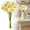 Beige, variant on 1 Bundle Daffodil Artificial Flowers 13.4 Inch Real Touch White Faux Daffodils Flowers Bouquet Artificial Daffodils Fake Flowers for Vase Home Office Wedding Floral Arrangement Decoration(No Vase)