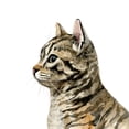 thumbnail image 3 of Barnes, Victoria 12x12 Black Modern Framed Museum Art Print Titled - Pet Profile III, 3 of 5
