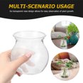 thumbnail image 4 of USHOBE 10pcs Home Decor Transparent Glass Terrarium Container Soil-free Planting, 4 of 8