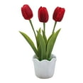 thumbnail image 3 of BNNG Artificial Three-Headed Tulips Simulation Flower Bonsai Creative Ornament Simulation Plant for Home Office Living Room Table Desk Plants Decor, 3 of 3