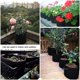 thumbnail image 2 of (Bolsa de cultivo de plantas de 25 x 30 cm y 5 galones, bolsa de cultivo de plantas de un galón, negra, para vegetales, flores, aireación, maceta, contenedor adecuado para cultivar vegetales o, 2 of 5
