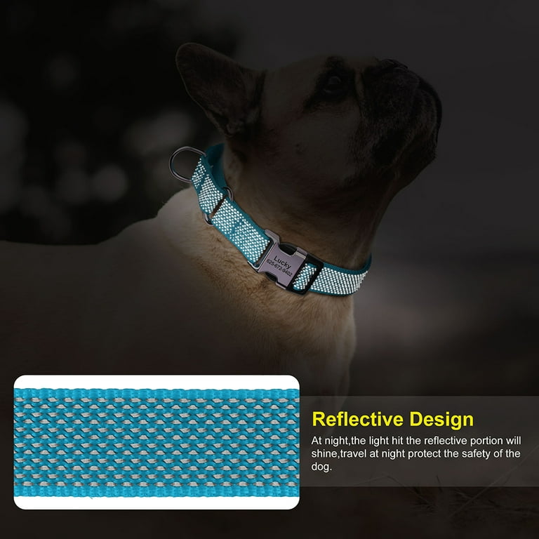 Name Tag Good To Go Dog Collar Didog Reflective Personalized Dog