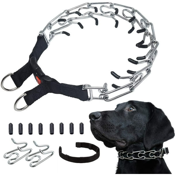 Collier de dressage réglable pour chien, laisse et collier étrangleur en  métal pour animal domestique : : Animalerie