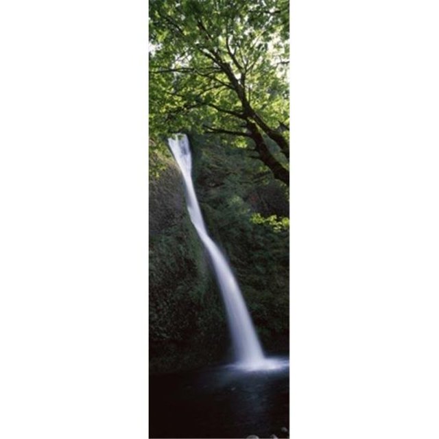 Affiche de Cascade dans une Forêt Chute de Queue de Cheval Mélèze Capuche Rivière Columbia Gorge Oregon USA - 12 x 36