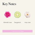 thumbnail image 3 of Difusor LAFCO New York Classic Blush Rose 180 ml de Reed Diffuser, 3 of 6