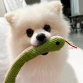 thumbnail image 3 of Interactive Plush Snake Toy with Catnips and Crinkle Sound for Dogs and Cats, 36cm Long, 3 of 16