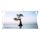 thumbnail image 1 of Póster de fondo para acuario, papel tapiz autoadhesivo de PVC para pecera estilo árbol en el mar, 91x50cm/35,8x19,7 pulgadas, 1 of 5