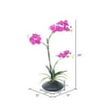 thumbnail image 2 of Vickerman 28" Contemporary Plastic Artificial Potted Orchid in Purple, 2 of 2