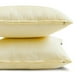 thumbnail image 3 of Fundas de almohada lisas HomeCentric color crema (paquete de 2), 40 x 40 cm (16 x 16 pulgadas), cojines decorativos de seda artística, lisos y lisos para sofá, diseño moderno de estampado liso - Lujo, 3 of 5