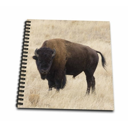 3dRose Wyoming, Yellowstone NP, Bison in Lamar Valley - US51 JWI0359 - Jamie and Judy Wild - Mini Notepad, 4 by