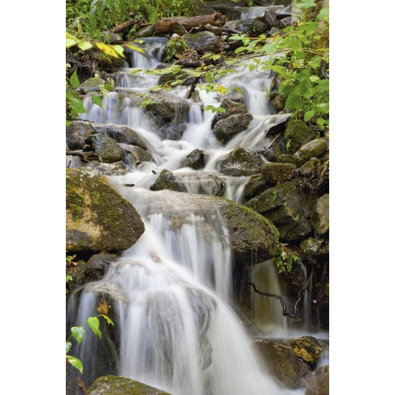 Small Waterfalls And Brook West Bolton Quebec Canada Canvas Art - David Chapman  Design Pics (24 x 38)