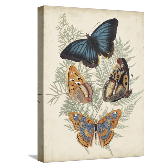 Art.com Butterflies and Ferns V Stretched Canvas Print Wall Art by Vision Studio, 12" x 16"