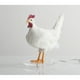 thumbnail image 2 of Lámpara LED de pollo, luz nocturna con forma de huevo, lámpara de escritorio con forma de huevo de taxidermia, 2 of 5
