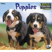 Mead Puppies Wall Calendar