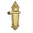 thumbnail image 3 of Nostalgic Warehouse Victorian Plate Single Dummy Fleur Lever in Polished Brass, 3 of 3