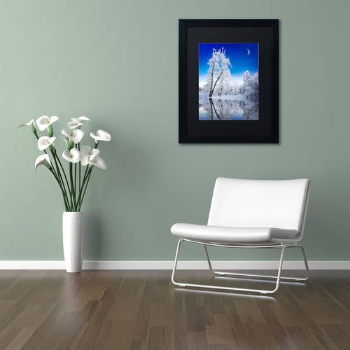 Trademark Fine Art "Emotive Ballad Canvas Art" Canvas Art by Philippe Sainte-Laudy, Black Matte, Black Frame