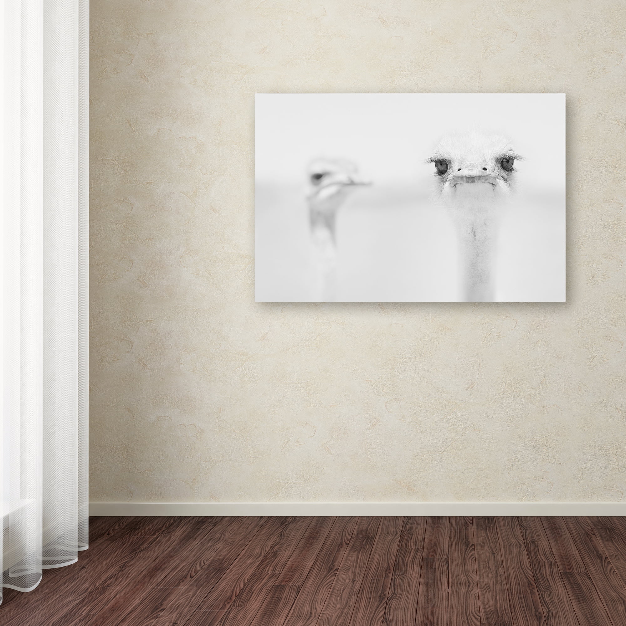 Trademark Fine Art 'Funny Ostrich' Canvas Art by Carlo Tonti