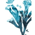 thumbnail image 2 of Vess, June Erica 20x24 Black Ornate Wood Framed with Double Matting Museum Art Print Titled - Inkwash Kelp II, 2 of 4