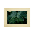 thumbnail image 1 of Dark Picture Nature Desktop Decorate Photo Frame Picture Art Painting 5x7 inch, 1 of 3