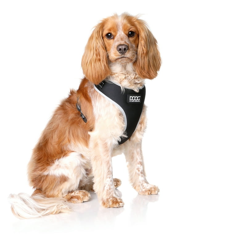 2 point cheap dog harness