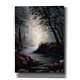 thumbnail image 1 of Epic Graffiti 'Flowers in the Dark' by Anthony Casay, Canvas Wall Art, 12"x16", 1 of 8