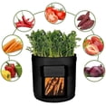 thumbnail image 2 of Bolsas de cultivo para un crecimiento sostenible, bolsas de cultivo con absorción de aire uniforme y diseño de visualización para uso en interiores y exteriores, 2 of 5