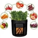 thumbnail image 2 of Bolsas para cultivo de vegetales con buen flujo de aire, bolsas duraderas de tela no tejida para jardín de plantas para un drenaje eficiente y una cosecha fácil, 2 of 5