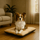 thumbnail image 3 of Cama Para Perro Q Perrón Raza Mediana Color Beige, 3 of 7