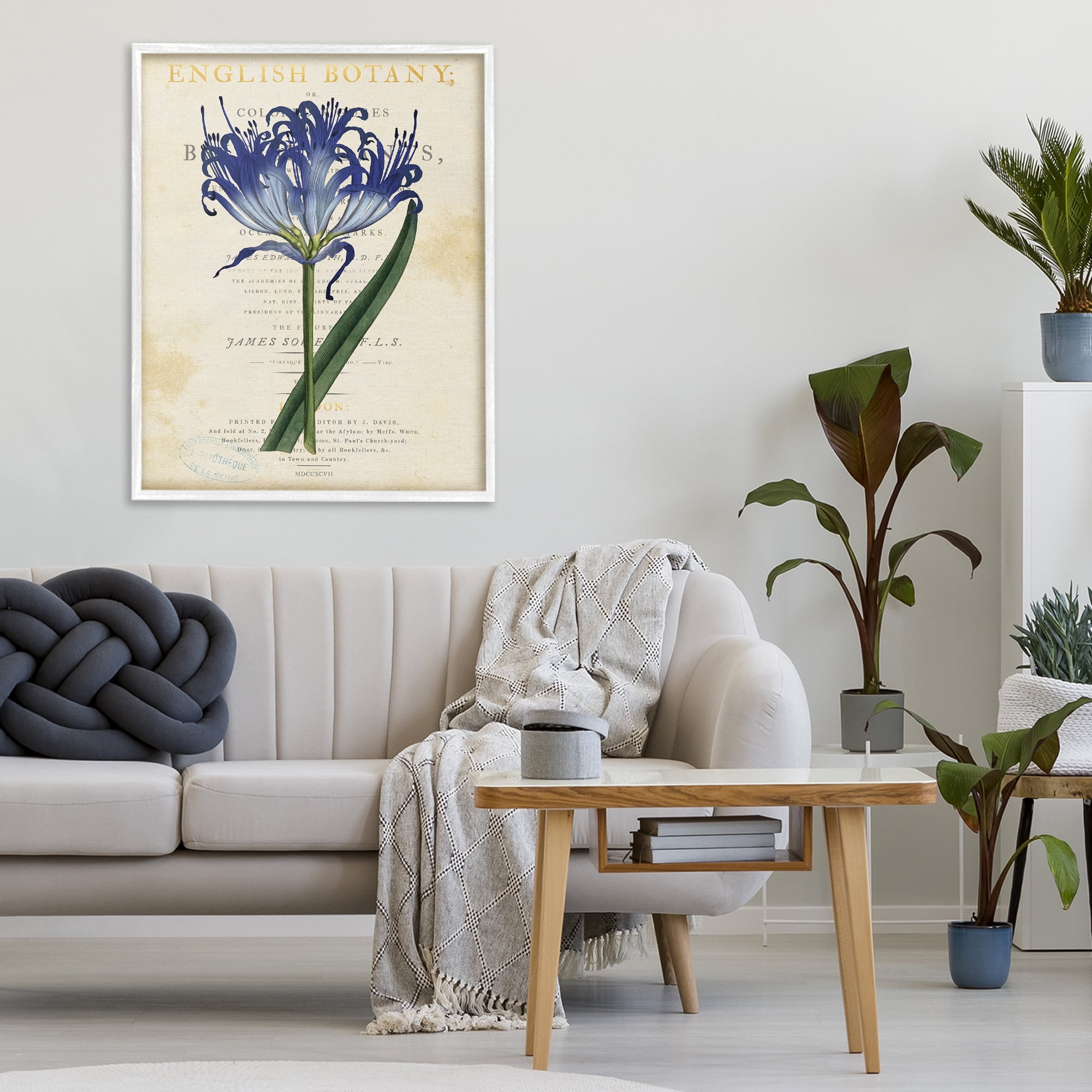 Stupell Industries English Botany Blue Floral White Framed Giclee Art, design by Susan Arnot
