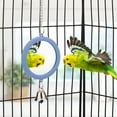 thumbnail image 6 of AOMRCOL Pet Bird Mirror with Bell Interactive Parrot Toy Bird Cage Mirror for Cockatiel Parakeets Canaries, 6 of 7