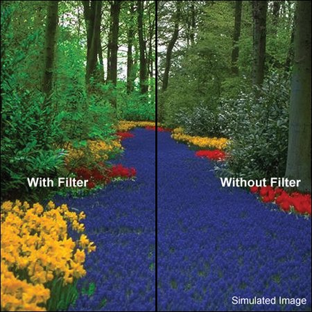 UPC: 0024066018618 | Hoya 58mm Green Field Filter