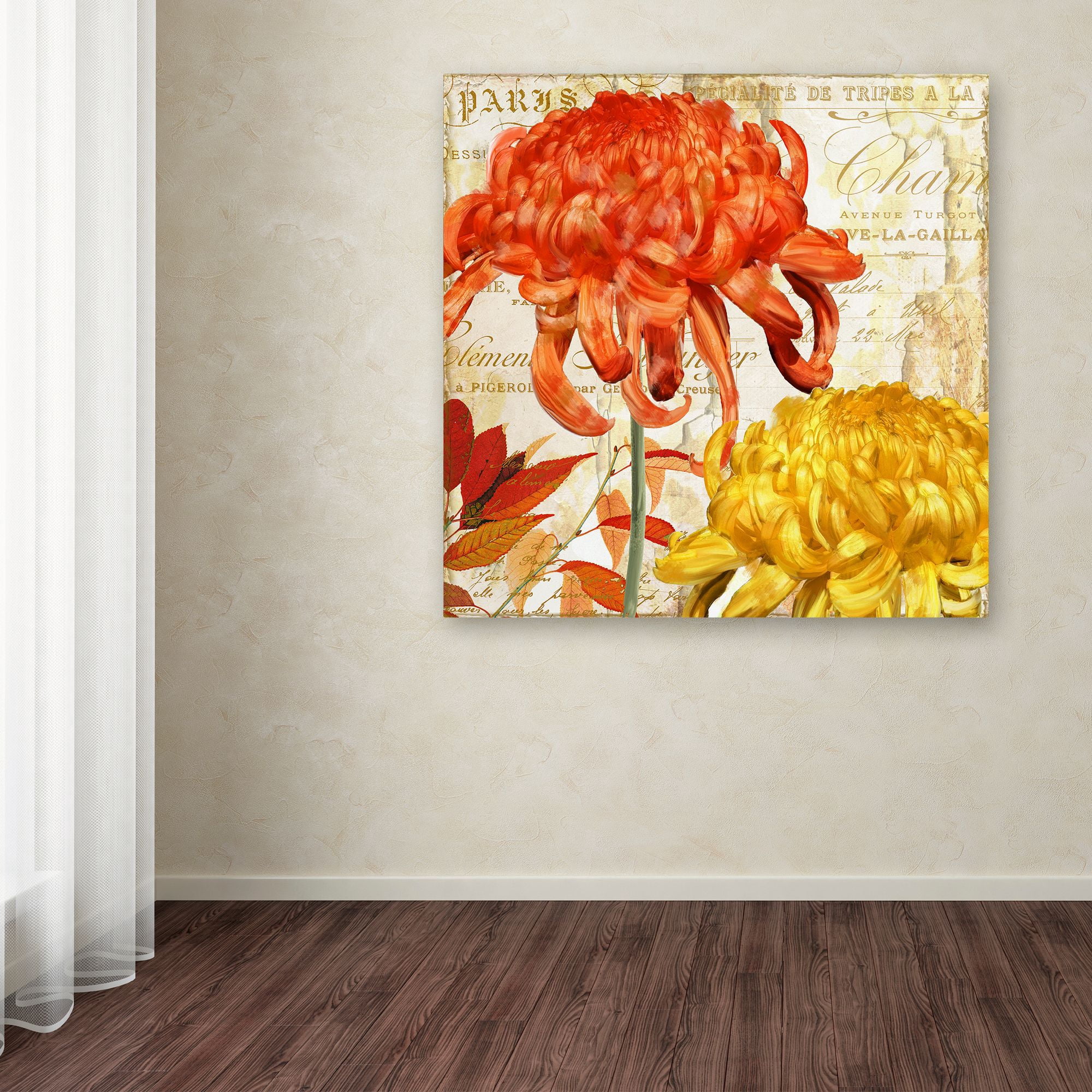 Trademark Fine Art 'Chrysanthemums I' Canvas Art by Color Bakery
