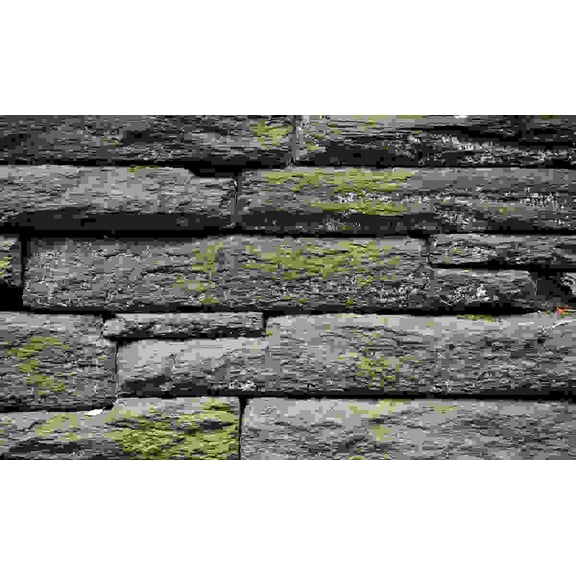 Biggies 120" Rock Window Well Scenes