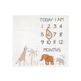 thumbnail image 3 of Modern Moments by Gerber Baby Boy Milestone Blanket & Frame Set, 2-Piece, Ivory Safari, 3 of 7