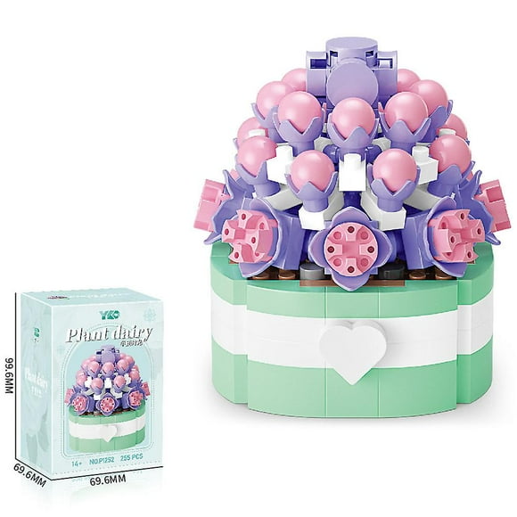 Succulent Building Set, Succulent Bonsai Botanical Decor Collection Building Kit, Build a Succulents Plants Display Piece for Home or Office, Ideal Gi