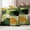 Dark Green Light Green Light Beige, variant on Green Geometric Outdoor Waterproof Pillow Covers, Middle Century Vintage Art Aesthetic Decorative Square Throw Pillowcase Sofa Cushion Sham for Patio/Couch/Chair, 16"x16" 2 Pack