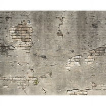 Wall Rogues Brown Dinosaurs Kids Unpasted Non Woven Wall Mural, 94-in by 118-in