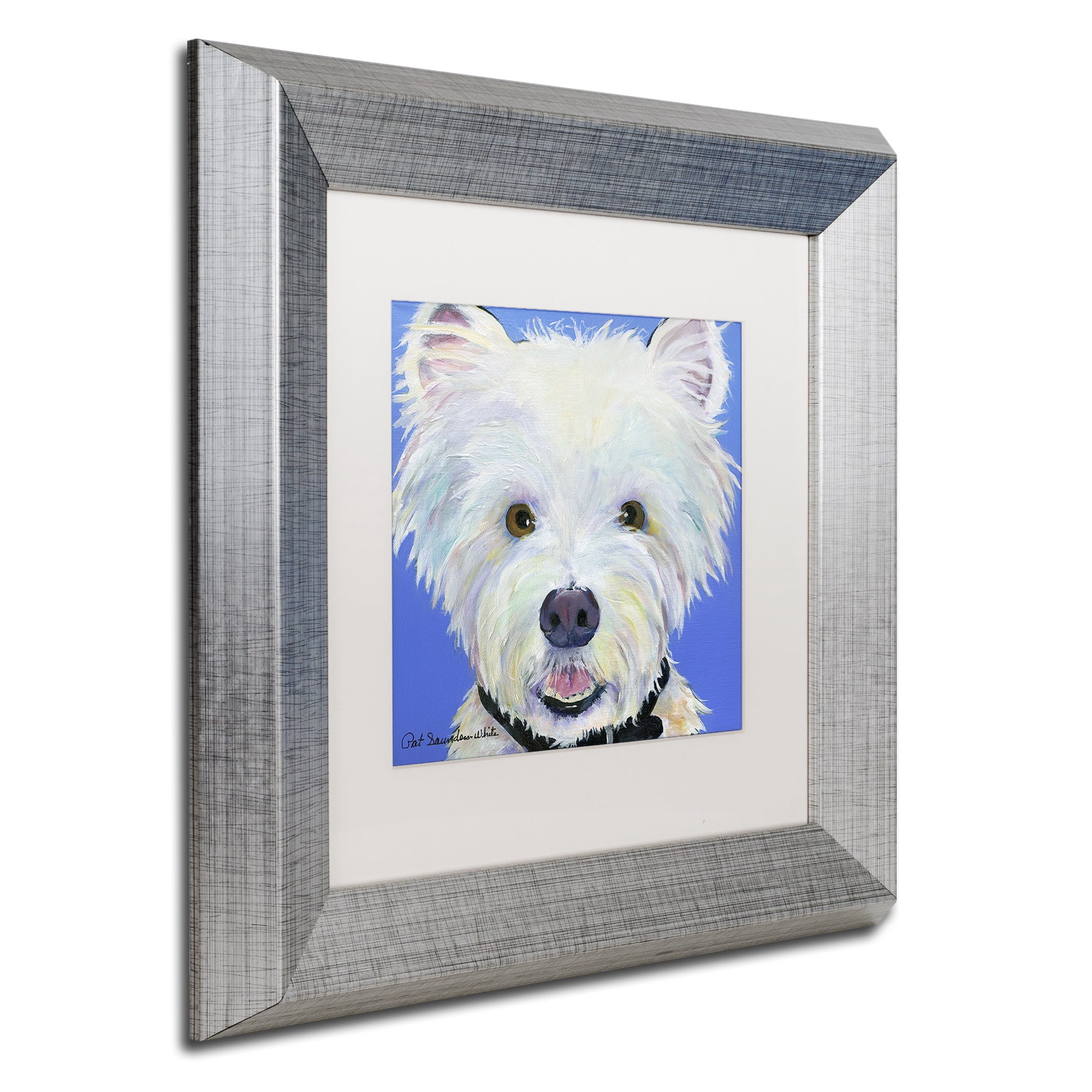Trademark Fine Art "Amos" Canvas Art by Pat Saunders-White, White Matte, Silver Frame