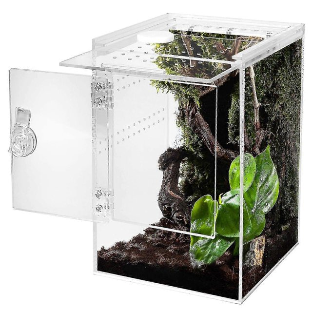Front Opening Terrarium Jumping Spider Enclosure,Tall Arboreal Tarantula Enclosure with Cross Ventilation
