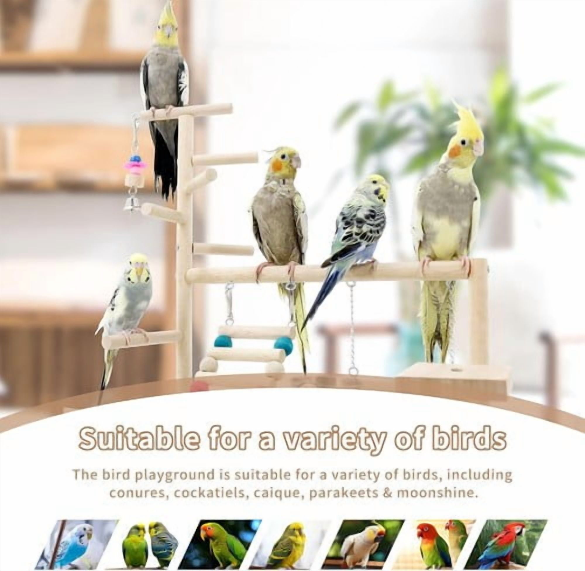 ShadeMart Bird Playstand with Toys, Cockatiel Playground Perch & Gym for Parakeets, Conures, Finches - Includes Ladder, Platform, Easy Assembly