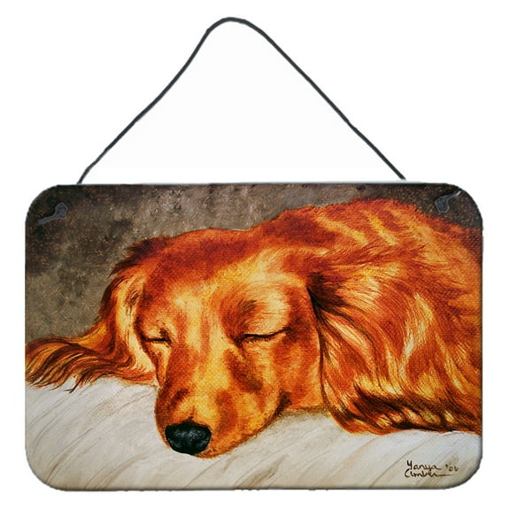 Carolines Treasures AMB1202DS812 Red Longhaired Dachshund Wall or Door Hanging Prints  8x12 multicolor