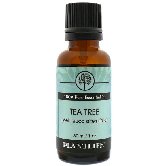 Plantlife Tea Tree Aromatherapy Essential Oil - Straight From The Plant 100% Pure Therapeutic Grade - No Additives or Fillers - 30 ml