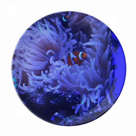

Ocean Anemone Fish Science Nature Picture Plate Decorative Porcelain Salver Tableware Dinner Dish