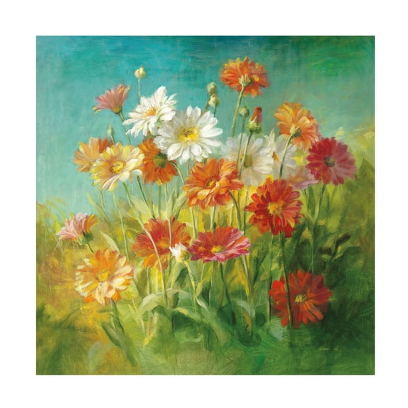 Trademark Fine Art 'Painted Daisies' Canvas Art by Danhui Nai