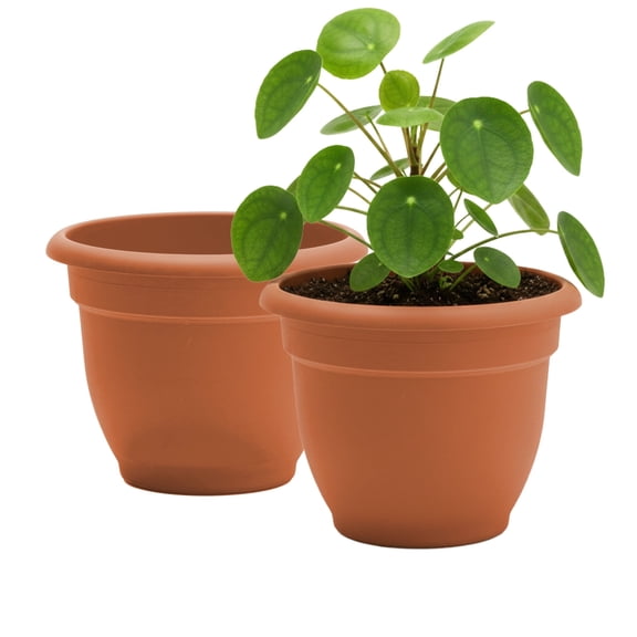 Bloem Ariana 12" Self-Watering Plastic Planter - Rolled Rim Indoor/Outdoor Garden Pot, Terra Cotta, 2-Pack