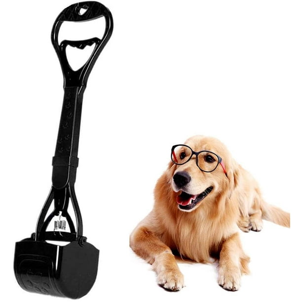 Portable dog poop container top