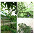 thumbnail image 5 of Red de enrejado para plantas trepadoras - 1 paquete de red de enrejado de jardín resistente de 5.9 pies x 3 pies para pepino, vid, tomate, red de enrejado de plantas, 5 of 5