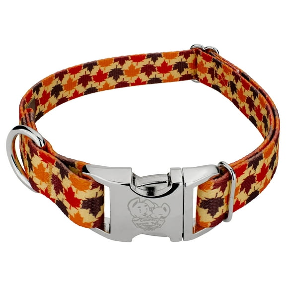 Country Brook Petz® Premium Nature Walk Dog Collar, Large