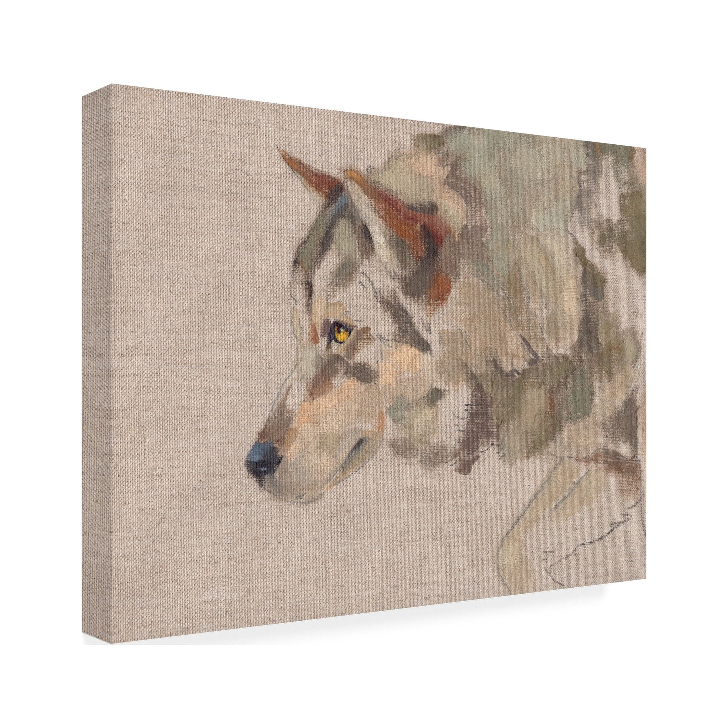 Jacob Green 'Timber Wolf II' Canvas Art